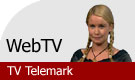 TV Telemark